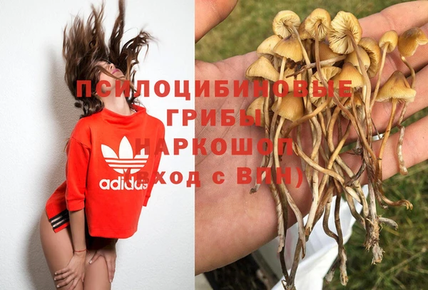 бошки Абаза