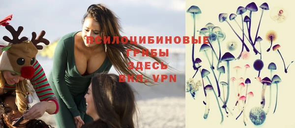 эйфоретик Алексеевка